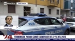 Parodi a RaiNews - 